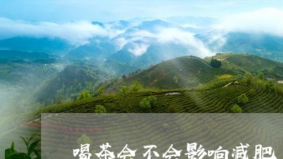 喝茶会不会影响减肥/2023041673816