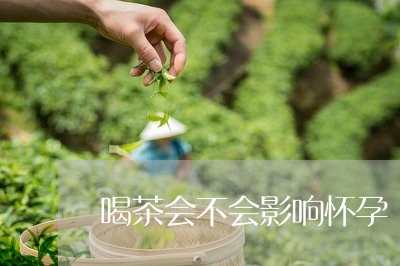 喝茶会不会影响怀孕/2023032062726