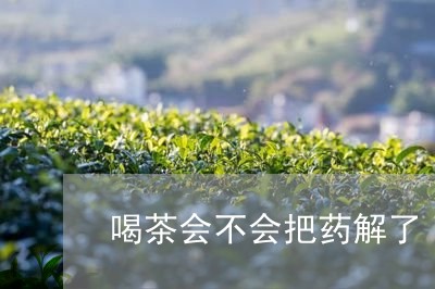 喝茶会不会把药解了/2023041693627