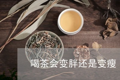 喝茶会变胖还是变瘦/2023032084827