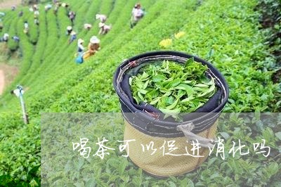 喝茶可以促进消化吗/2023041627206