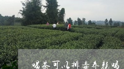 喝茶可以排毒养颜吗/2023032019492