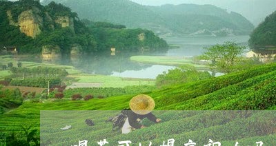 喝茶可以提高视力吗/2023041652917