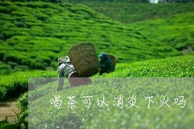 喝茶可以消炎下火吗/2023032040814