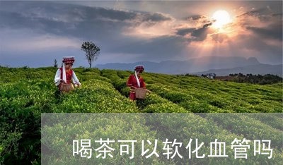 喝茶可以软化血管吗/2023041616939