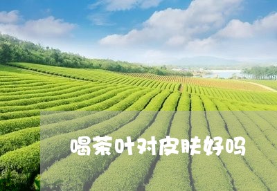 喝茶叶对皮肤好吗/2023032503603