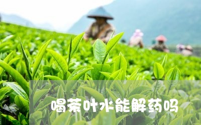 喝茶叶水能解药吗/2023032697360