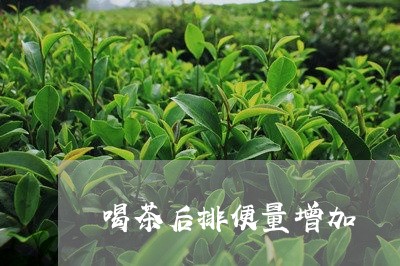 喝茶后排便量增加/2023032433026