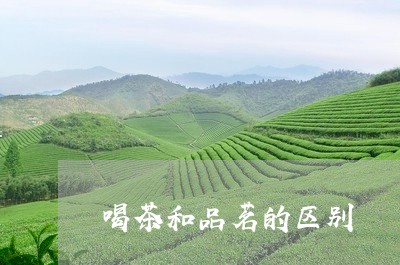 喝茶和品茗的区别/2023032570572