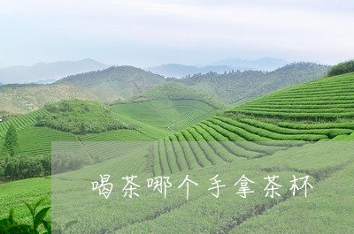 喝茶哪个手拿茶杯/2023032592717