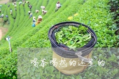 喝茶喝热的还是的/2023041669695