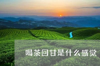 喝茶回甘是什么感觉/2023041671949