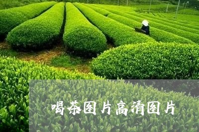 喝茶图片高清图片/2023032539471