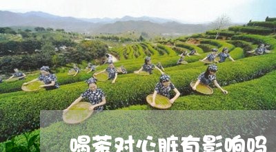 喝茶对心脏有影响吗/2023041614835