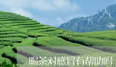 喝茶对感冒有帮助吗/2023041692614