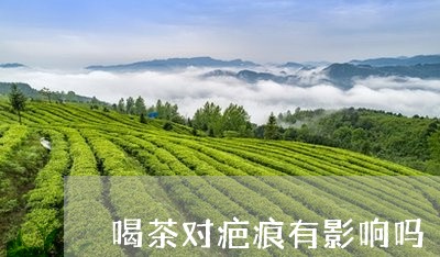 喝茶对疤痕有影响吗/2023032019616