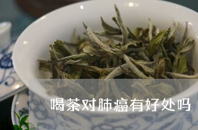 喝茶对肺癌有好处吗/2023032097461