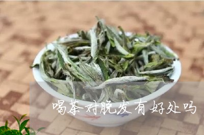 喝茶对脱发有好处吗/2023041680471