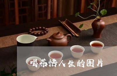 喝茶悟人生的图片/2023032541614