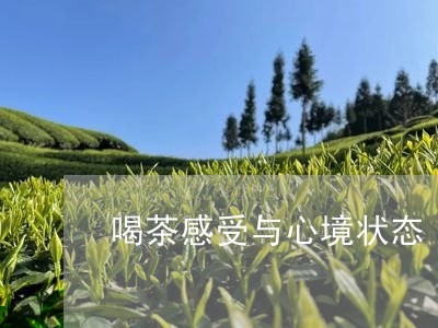 喝茶感受与心境状态/2023041686289