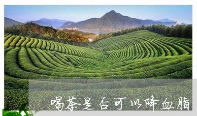 喝茶是否可以降血脂/2023032001828