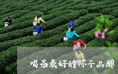 喝茶最好的杯子品牌/2023032026271