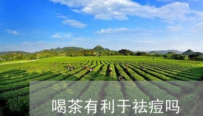 喝茶有利于祛痘吗/2023032528491