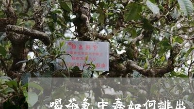 喝茶氟中毒如何排出/2023041649593