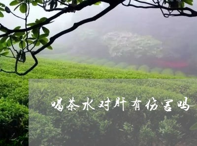 喝茶水对肝有伤害吗/2023032005836