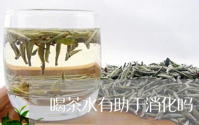 喝茶水有助于消化吗/2023032035268