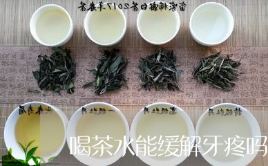 喝茶水能缓解牙疼吗/2023041670604