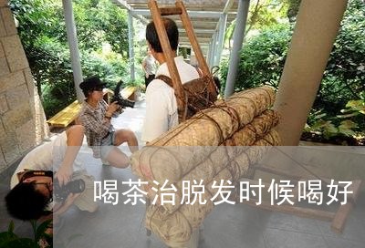 喝茶治脱发时候喝好/2023041626173