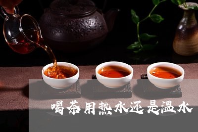 喝茶用热水还是温水/2023032035826