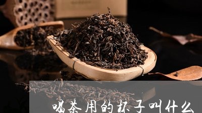 喝茶用的杯子叫什么/2023032010593