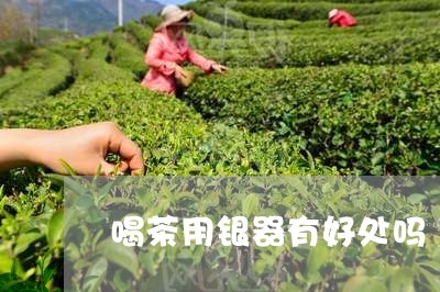 喝茶用银器有好处吗/2023032005937