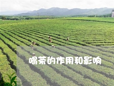 喝茶的作用和影响/2023032506050