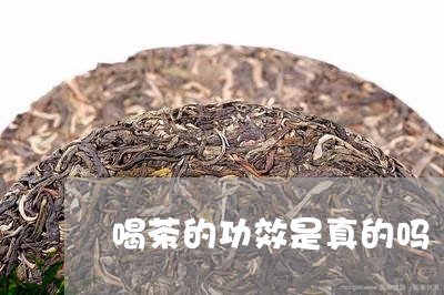 喝茶的功效是真的吗/2023041769595