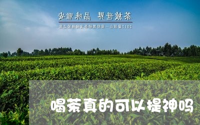 喝茶真的可以提神吗/2023032000704