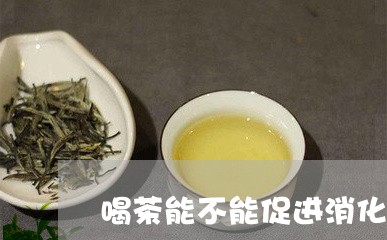 喝茶能不能促进消化/2023041692937