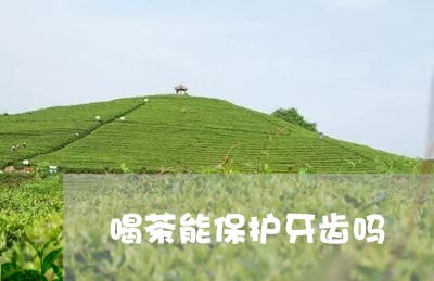 喝茶能保护牙齿吗/2023032501681