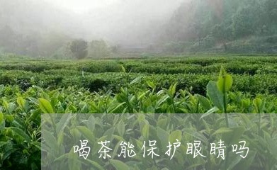 喝茶能保护眼睛吗/2023032558582