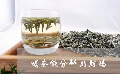 喝茶能分解脂肪吗/2023032579370