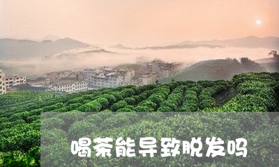 喝茶能导致脱发吗/2023032514938