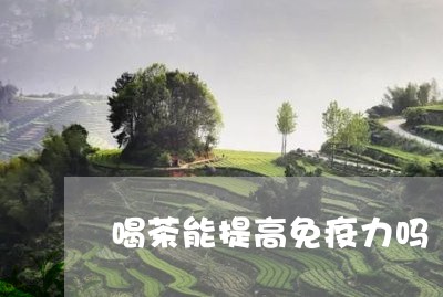 喝茶能提高免疫力吗/2023041682704