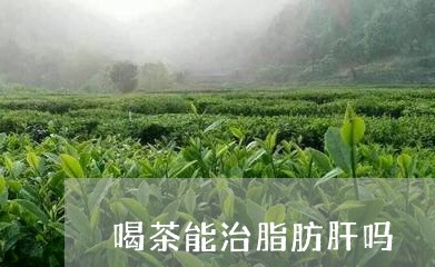 喝茶能治脂肪肝吗/2023032525151