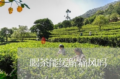 喝茶能缓解痛风吗/2023032535069