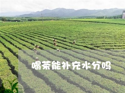 喝茶能补充水分吗/2023032562816