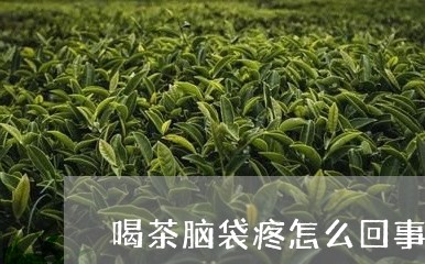 喝茶脑袋疼怎么回事/2023041630492