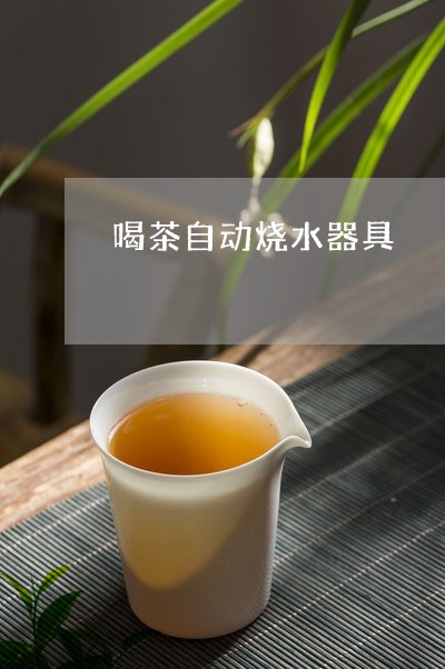 喝茶自动烧水器具/2023032434159