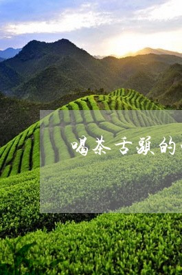 喝茶舌头的味觉分布/2023041663837